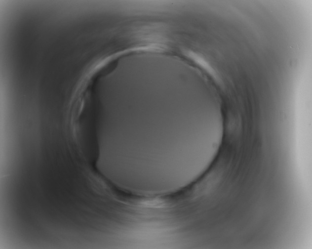 X0000088141455200706041328