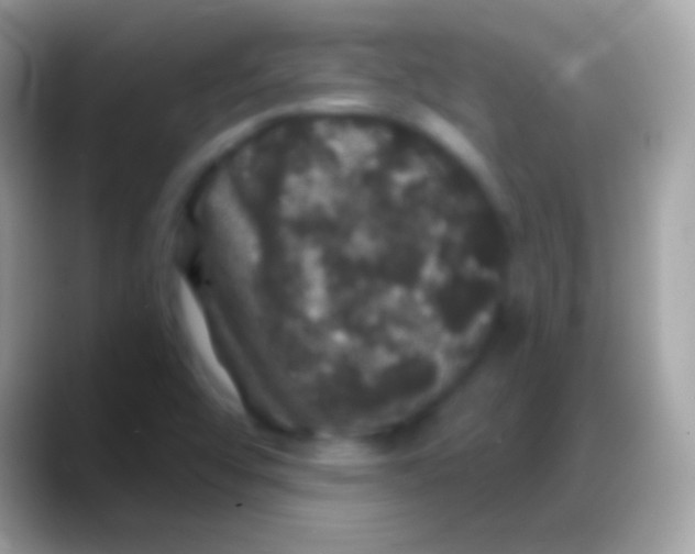 X0000088141456200706041328