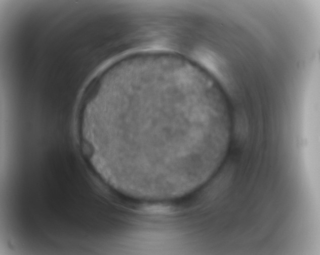 X0000088141460200706041328