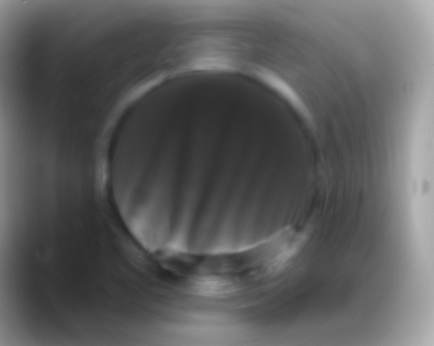 X0000088141461200706041328