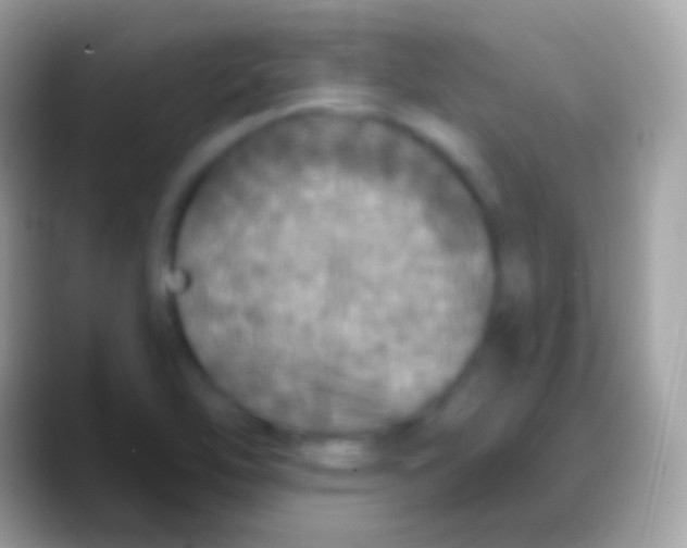 X0000088141462200706041328