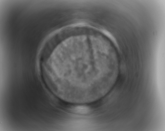 X0000088141464200706041328