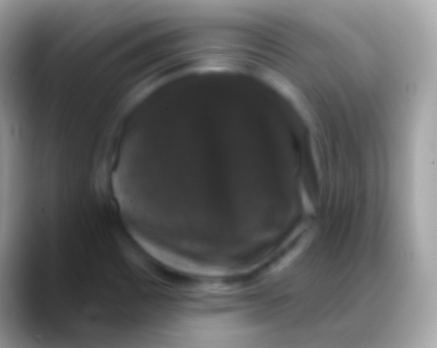 X0000088141465200706041328