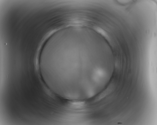 X0000088141466200706041328