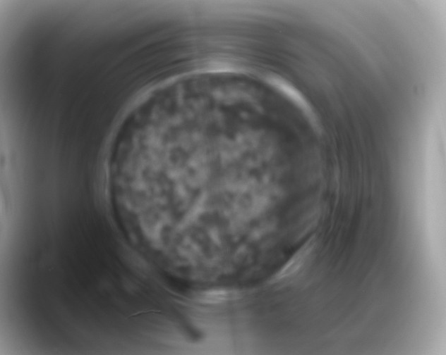 X0000088141467200706041328