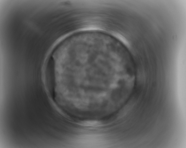 X0000088141468200706041328