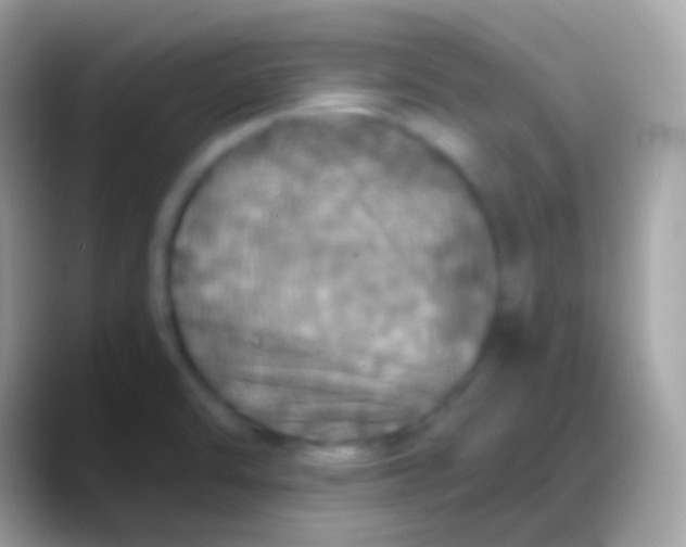 X0000088141470200706041328