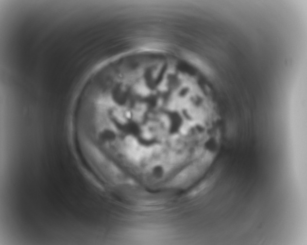 X0000088141471200706041328