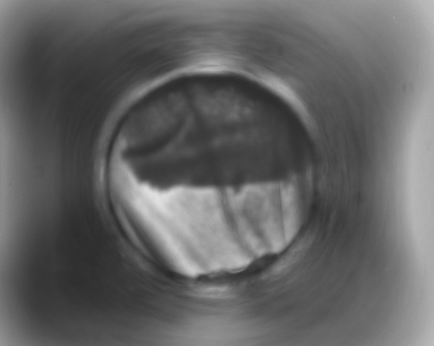 X0000088141472200706041328