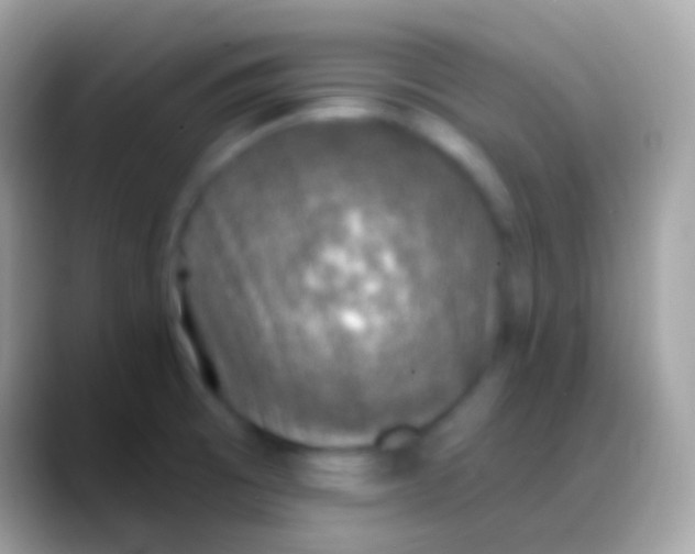 X0000088141473200706041328