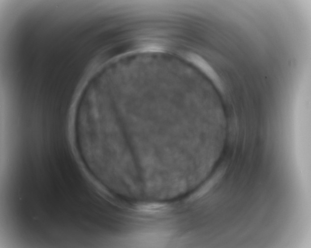 X0000088141475200706041328