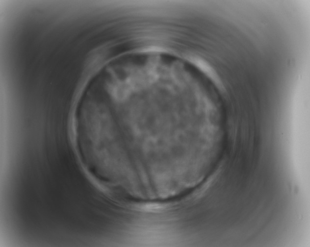 X0000088141476200706041328