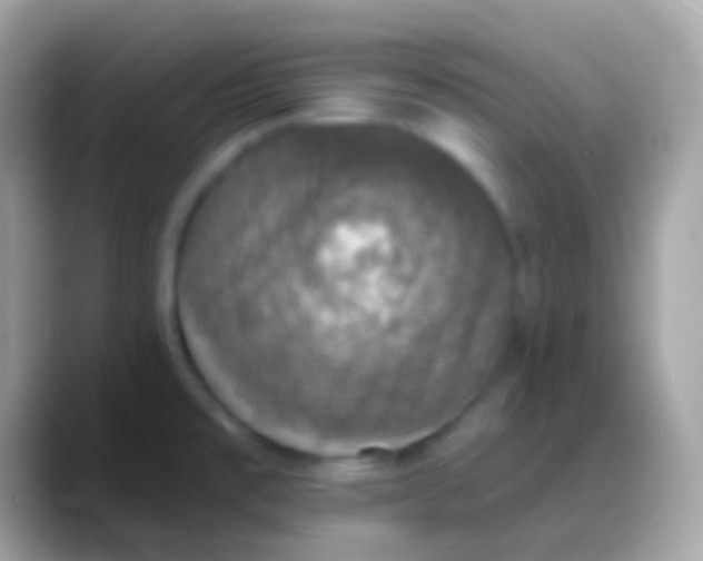 X0000088141477200706041328