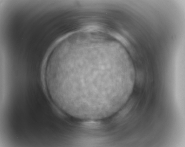 X0000088141478200706041328