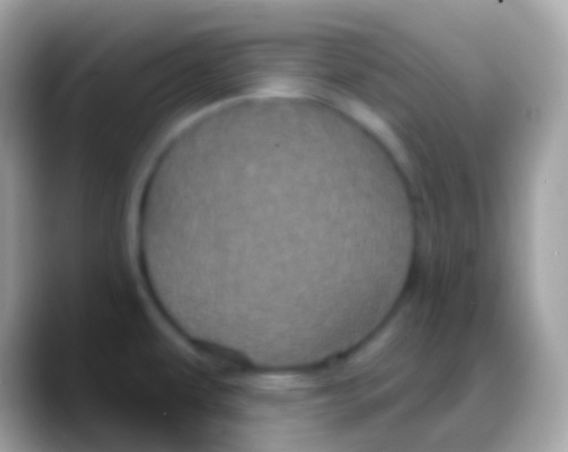 X0000088141479200706041328