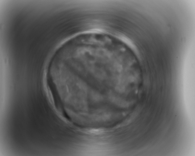 X0000088141480200706041328