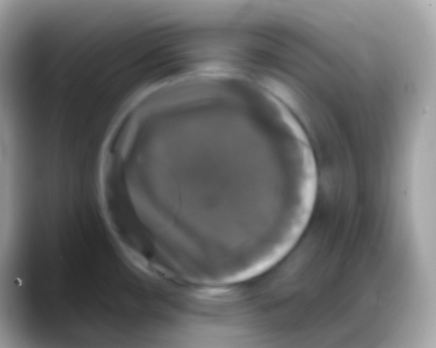 X0000088141482200706041328