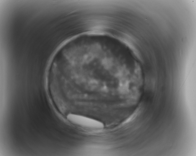 X0000088141484200706041328