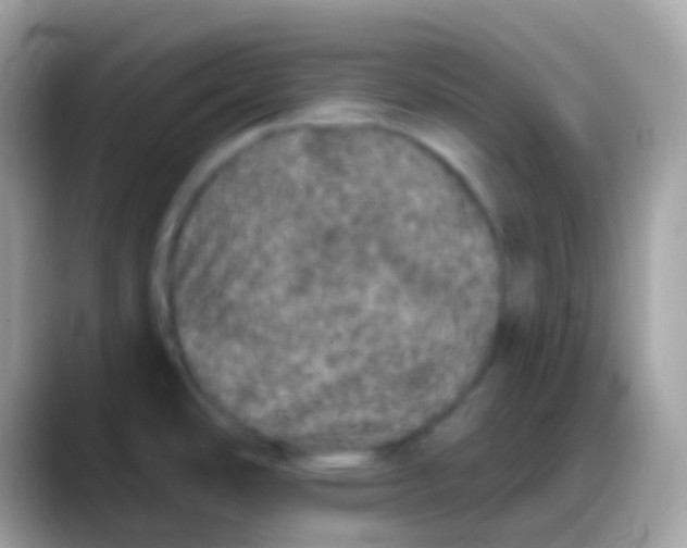 X0000088141486200706041328