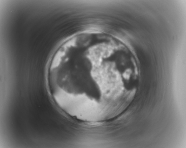 X0000088141488200706041328