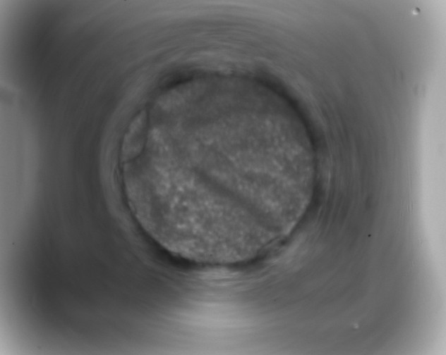 X0000088141489200706041327