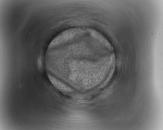 X0000088141490200706041327