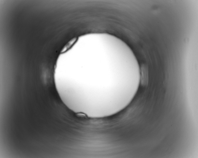 X0000088141491200706041327