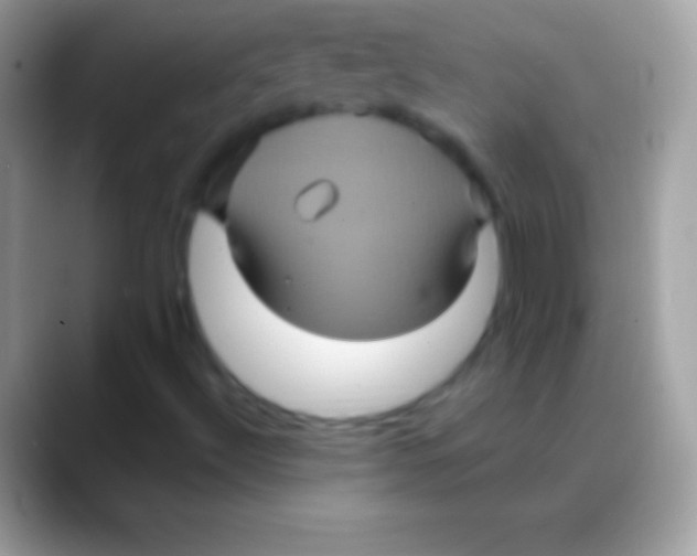 X0000088141492200706041327