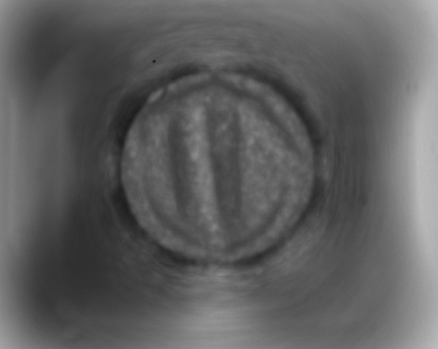 X0000088141493200706041327