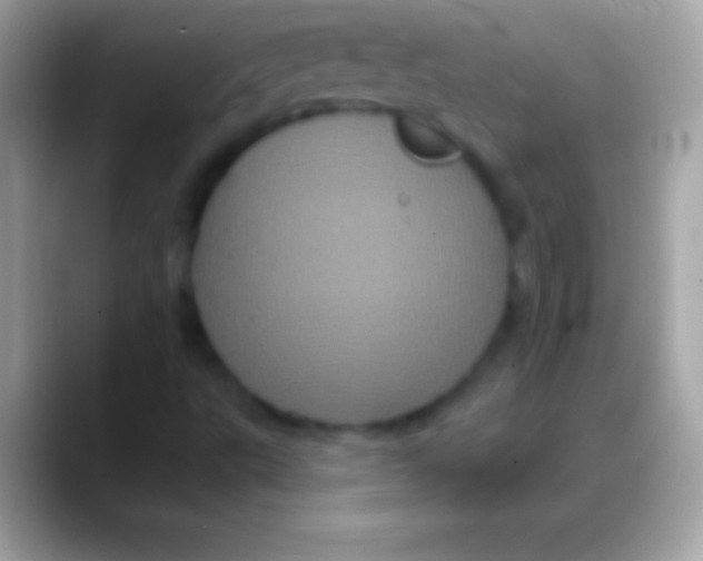 X0000088141495200706041327