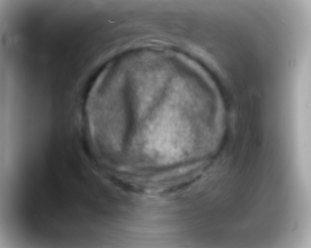 X0000088141496200706041327