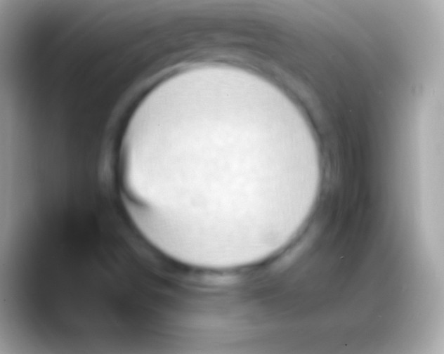 X0000088141498200706041327