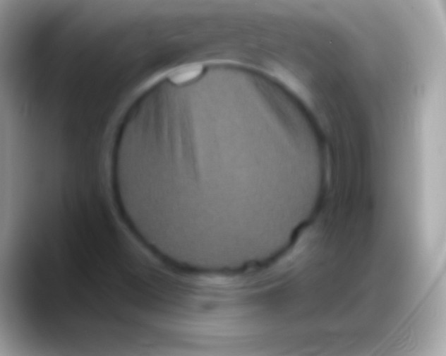 X0000088141500200706041327