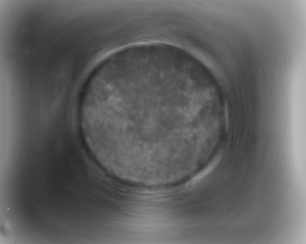 X0000088141501200706041327