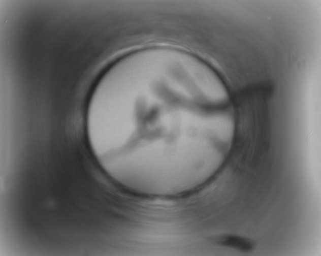 X0000088141503200706041328