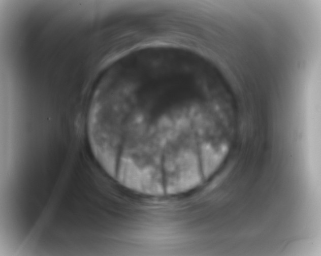 X0000088141505200706041328