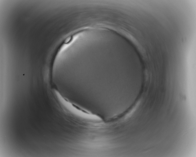 X0000088141506200706041328