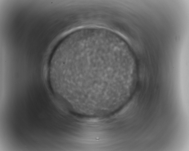 X0000088141507200706041328