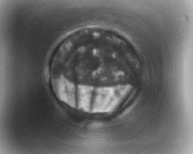 X0000088141509200706041328