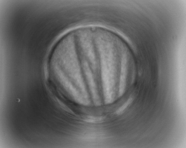 X0000088141510200706041328