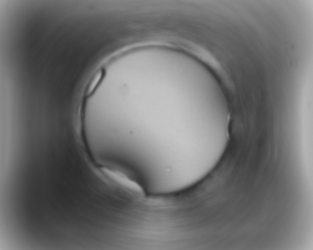 X0000088141512200706041328