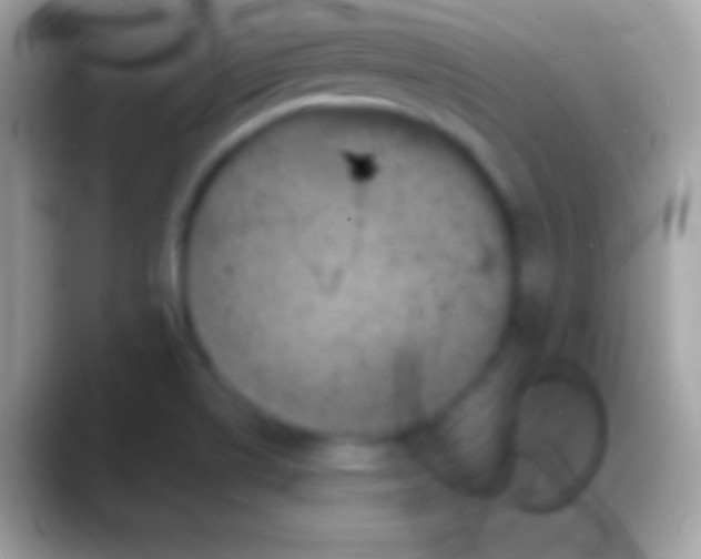 X0000088141514200706041328