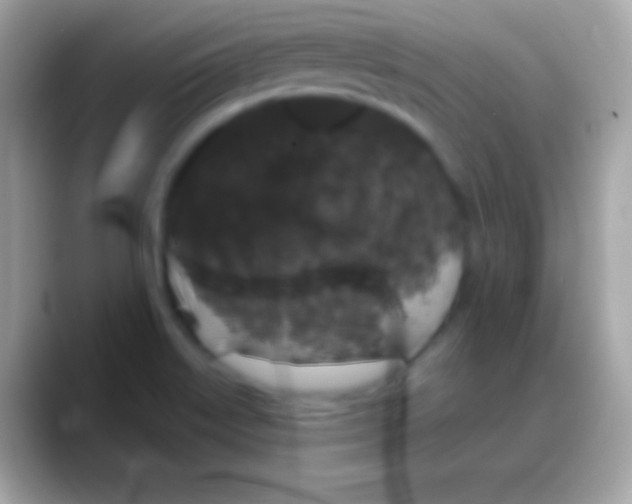 X0000088141515200706041328