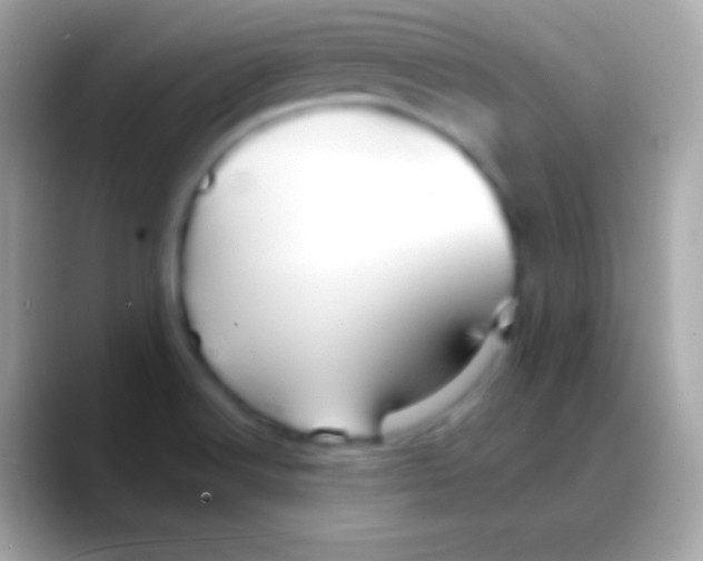 X0000088141516200706041328