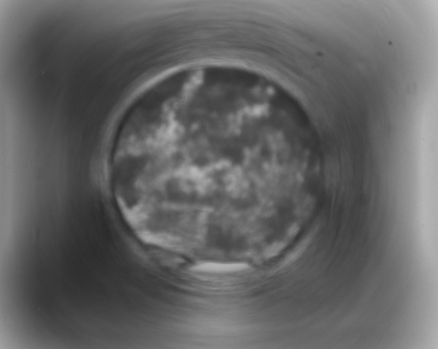 X0000088141517200706041328