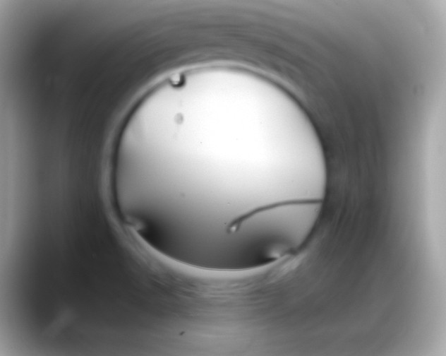 X0000088141518200706041328