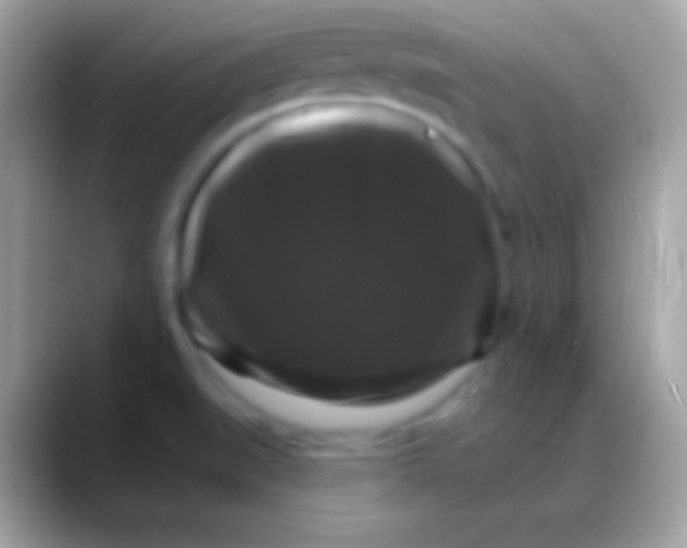 X0000088141519200706041328