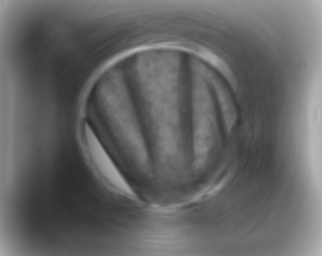 X0000088141520200706041328