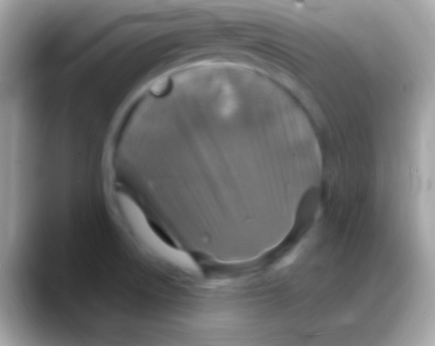 X0000088141522200706041328