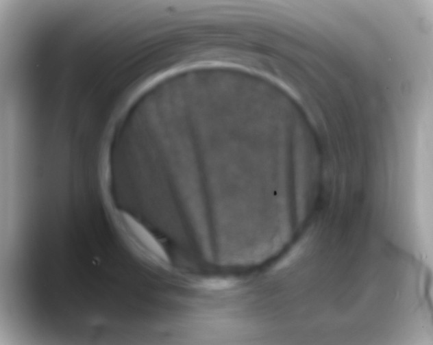 X0000088141523200706041328